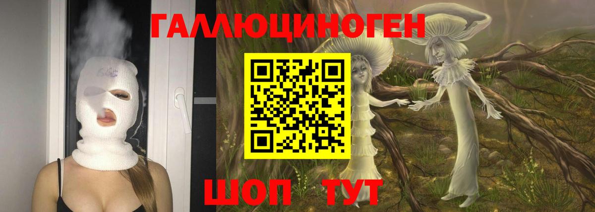 Кимовск  Галлюциногенные грибы ЛСД  Псилоцибиновые грибы прущие грибы  Вход с VPN 